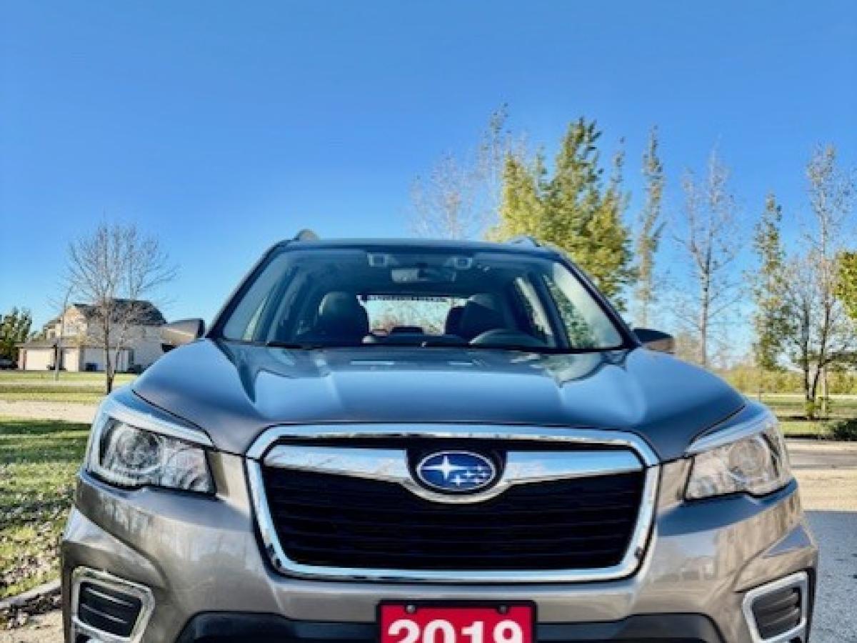 2019